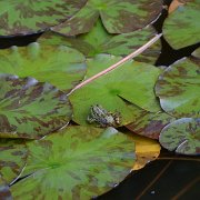 2012-06-02 11-53-28  2